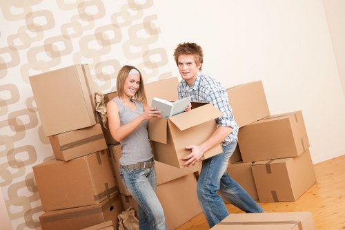 Practical loading support for a van move with access considerations