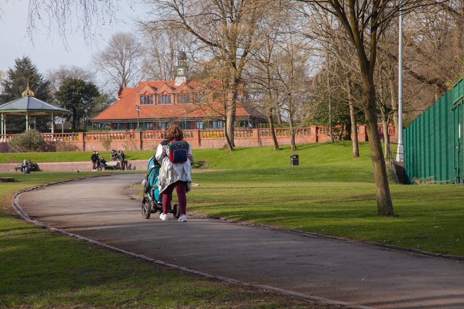 A straight gravel pathway lined with evenly spaced deciduous trees on either side, with some trees displaying early spring foliage while others are still bare. The grass verges beside the path are well-maintained, with patches of sunlight filtering through the branches, creating dappled shadows on the ground. In the background, the pathway extends into the distance under a clear blue sky. On the left side, a small informational sign is visible near the trees, and on the right, there is a low stone wall and some residential buildings partially obscured by the trees. The scene captures a peaceful park setting suitable for outdoor activities and leisurely walks. This environment aligns with residential area accessibility for home relocation and furniture transport, as seen in the context of house removals and moving services, such as those provided by Man with Van Preston.